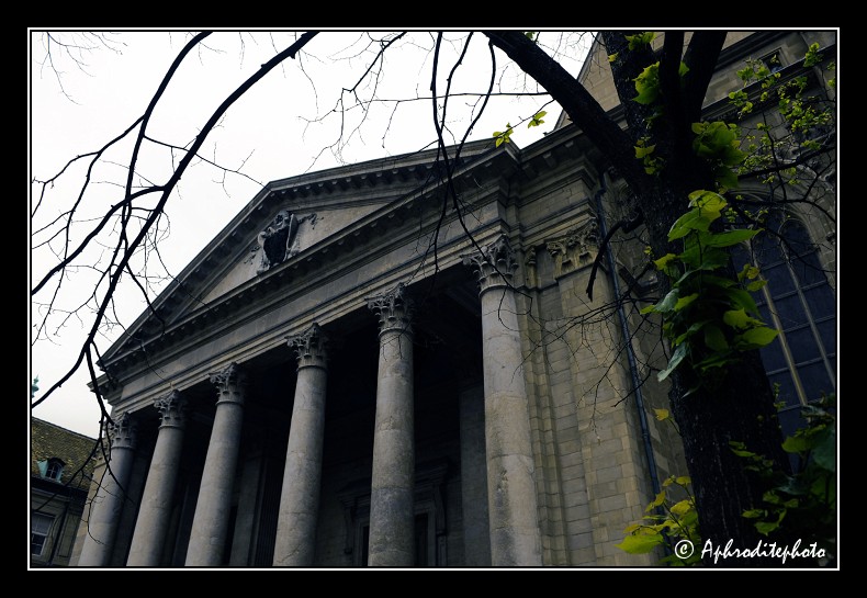 042 Fronton de la cathédrale St Pierre
